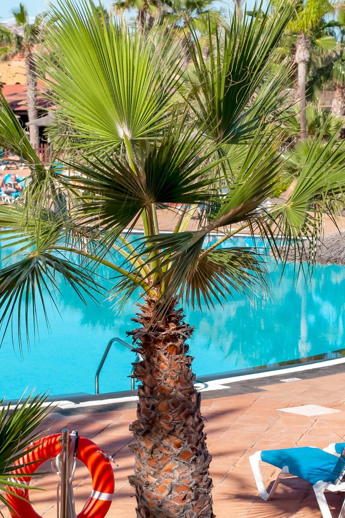 Fuerteventurapartments คอร์ราเลโฮ ภายนอก รูปภาพ